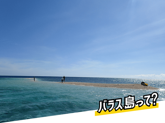 バラス島って？