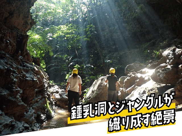 鍾乳洞とジャングルが織り成す絶景