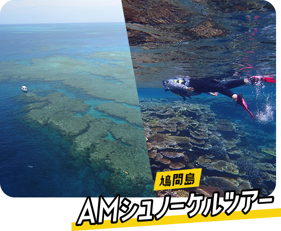 鳩間島 AMシュノーケルツアー