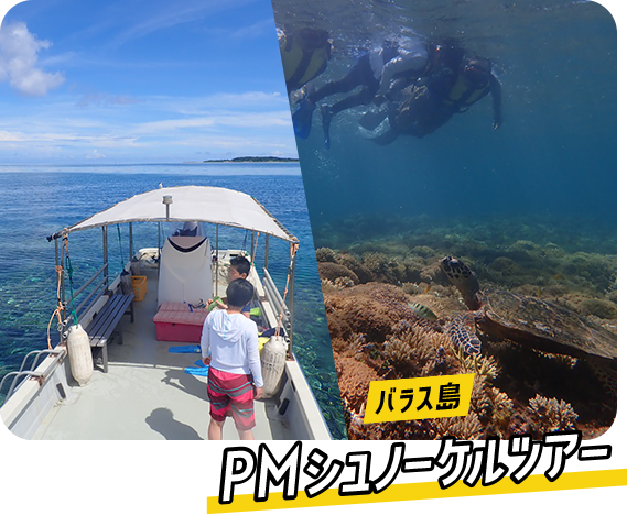 バラス島 PMシュノーケルツアー