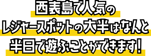 西表島で人気のレジャースポットの大半はなんと半日で遊ぶことができます！