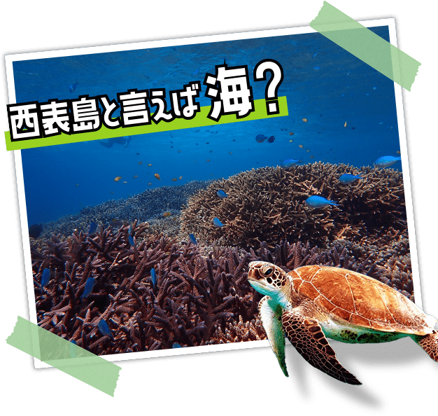 西表島と言えば海？