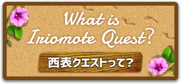 What is Iriomote Quest? 西表クエストって？